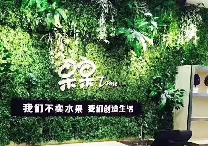綠植背景墻