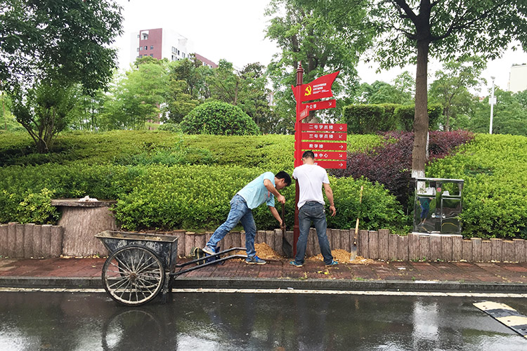 校園環(huán)境標(biāo)識